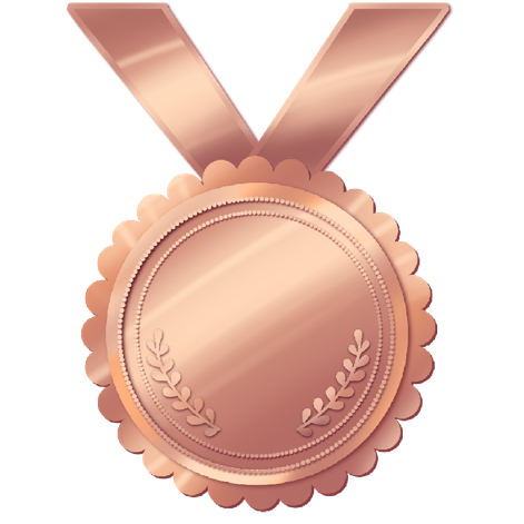 Bronze Medal