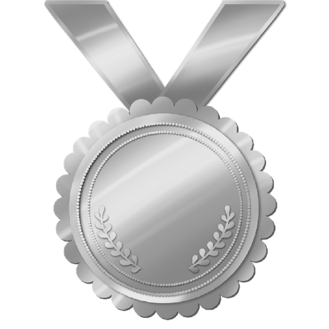 Silver Medal