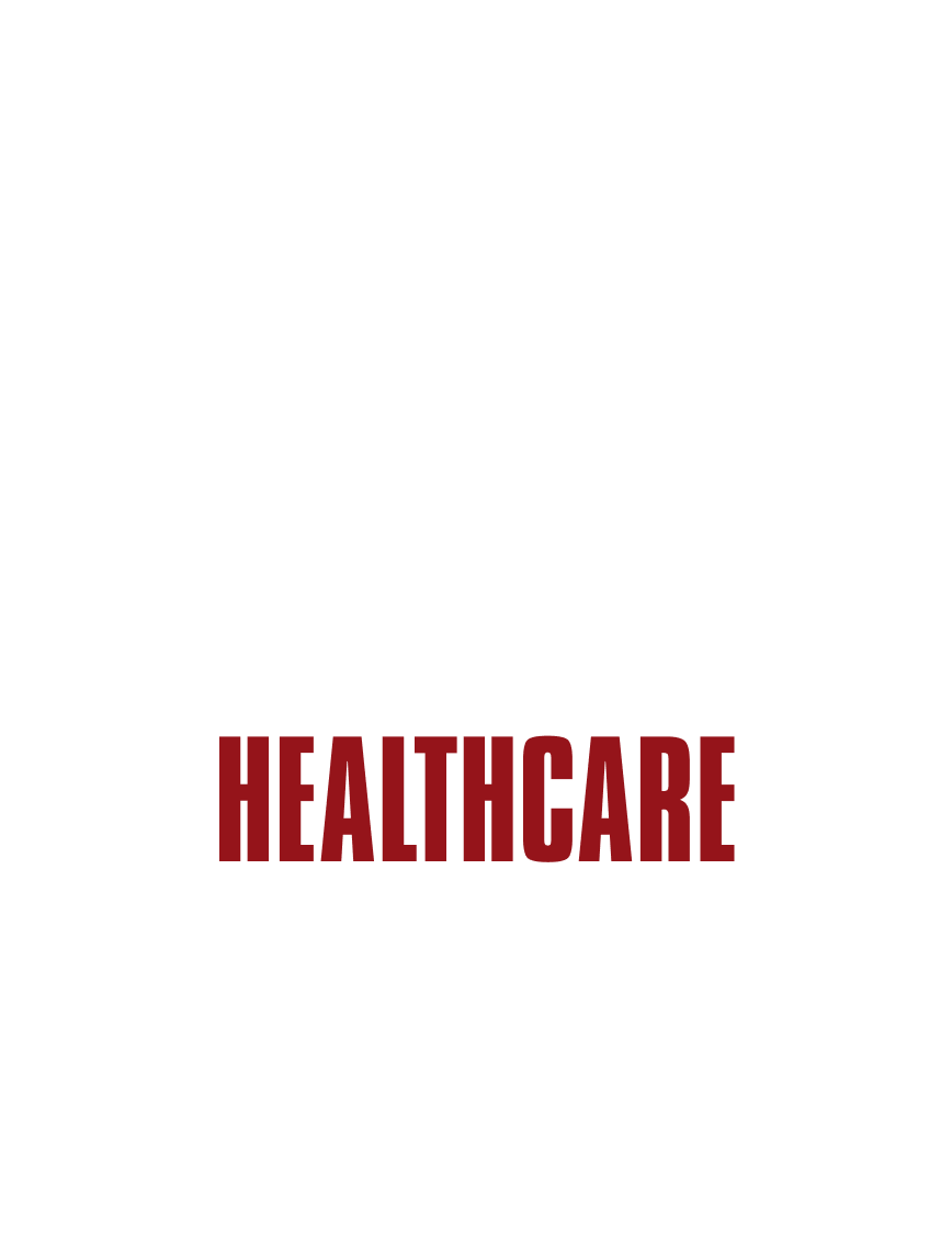 The Vital Vault: HealthCare